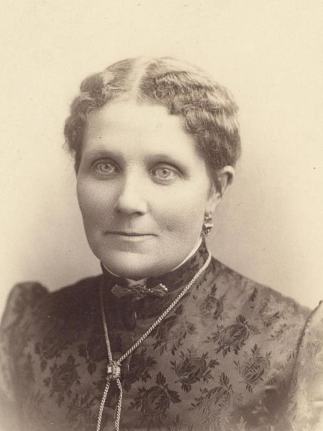 Sarah Lovina Harris (1846 - 1905) Profile